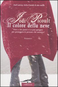 Il colore della neve